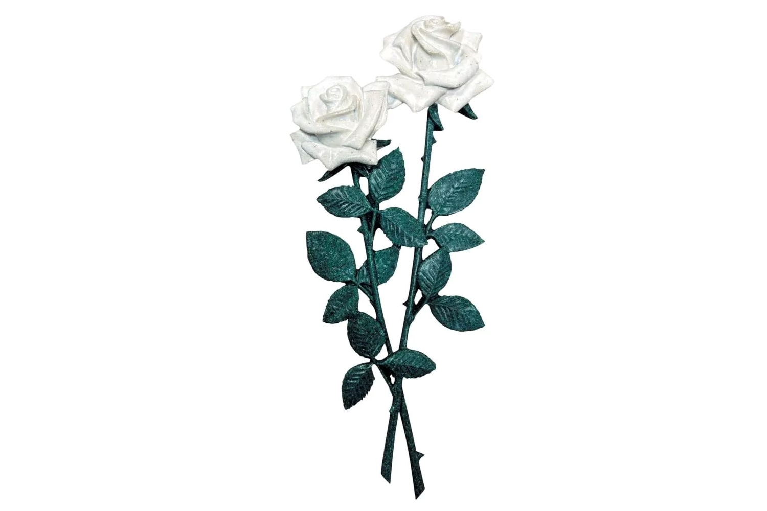 Розы белые — высота 34см